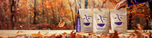 Fall Bundles featured hero -- various Coffee Bean Direct 1lb coffee bags with leaves falling in an Autumn background 